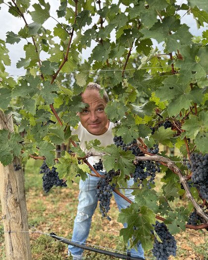 Marco Houillot im Weinberg